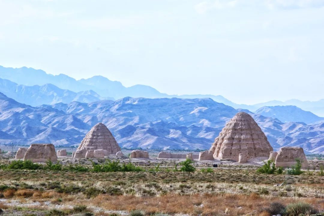 金色宁夏，热茶凝望